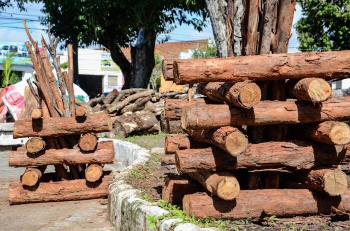 Prefeitura libera cadastro para a venda de milho e fogueiras