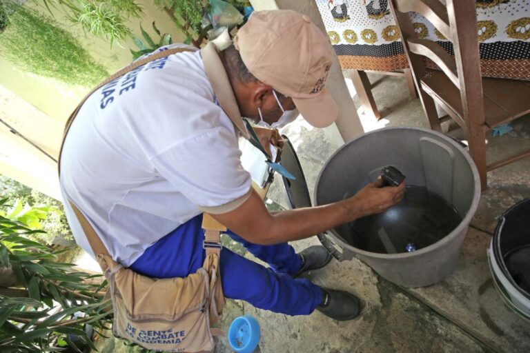 Quatro bairros estão classificados como de alto risco de surto para o Aedes aegypti