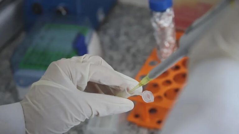 Vacina brasileira contra dependência em crack e cocaína é finalista de prêmio internacional
