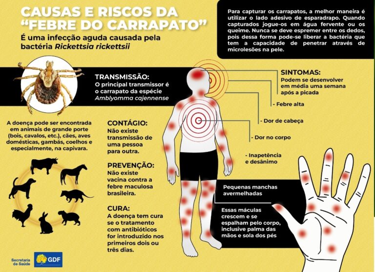Saiba mais sobre a febre maculosa, que matou 4 pessoas em SP este mês