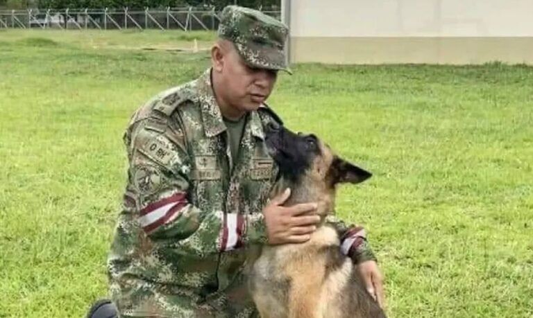 Busca pelo cachorro Wilson continua na selva colombiana