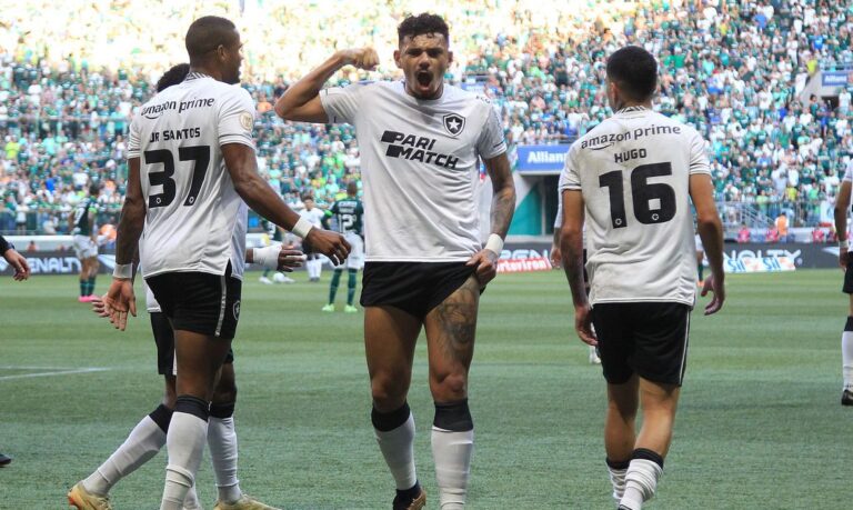 Botafogo tem 81% de chances de título; veja números contra a queda