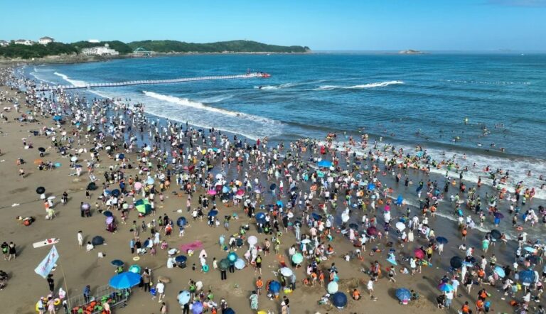 Onda de calor na Europa e incêndios florestais são só o começo, alerta agência europeia