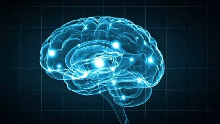 Dia Mundial do Cérebro: neurologistas destacam a importância do exercício físico
