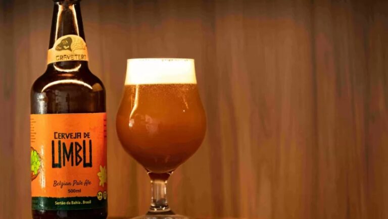 Famílias do sertão baiano fazem cerveja de umbu com ajuda de energia solar
