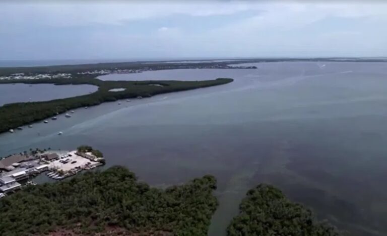 Temperaturas do mar na Flórida atingem níveis das banheiras de hidromassagem