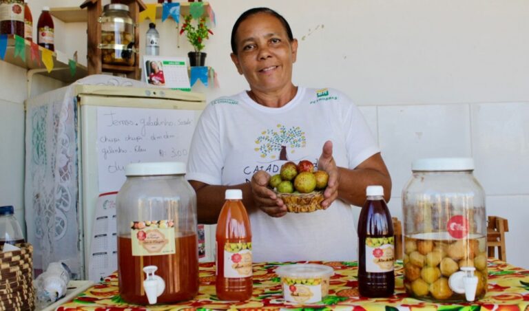 Rede de beneficiamento da mangaba movimenta a economia e incrementa o turismo