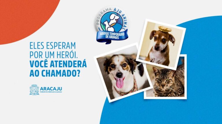 Prefeitura promove campanha de incentivo a abrigo temporário de cães e gatos em Aracaju