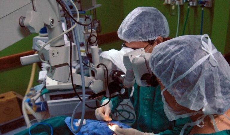 Governo destina R$ 56,3 milhões ao Sistema Nacional de Transplantes