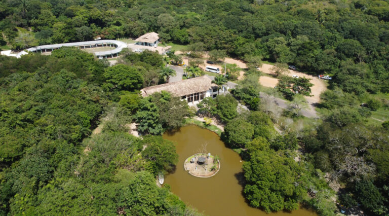 Confira a programação alusiva ao Dia das Crianças no Parque da Cidade