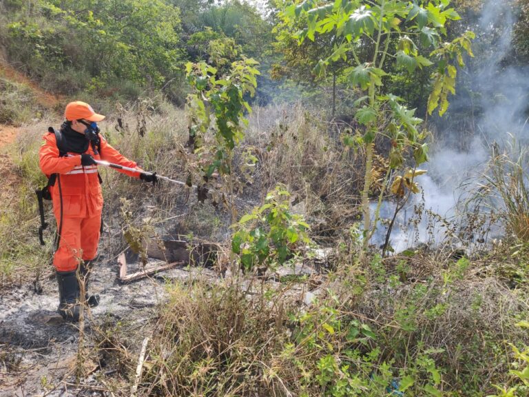 CBM/SE já atendeu mais de 900 ocorrências de incêndio em vegetação desde o início deste ano