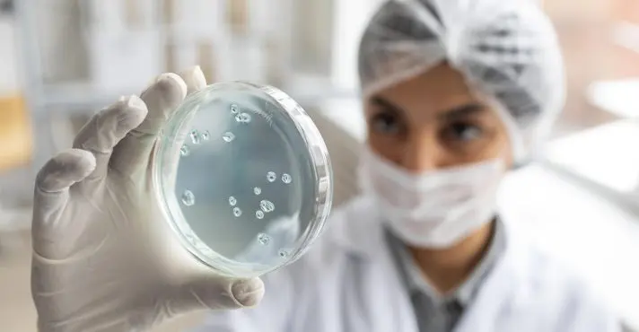 Alerta: bactérias resistentes a antibióticos se proliferam em hospitais pelo mundo