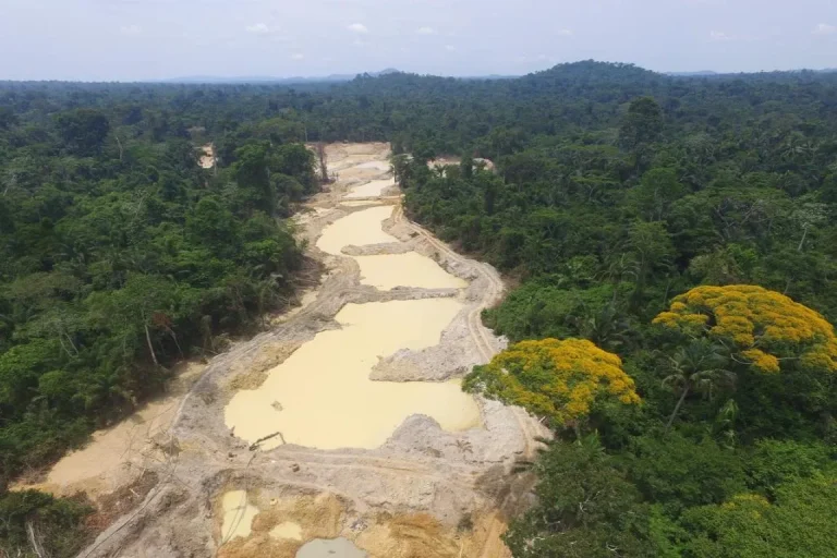 Crise em terra Yanomami não será resolvida neste ano, afirma ministra dos Povos Indígenas
