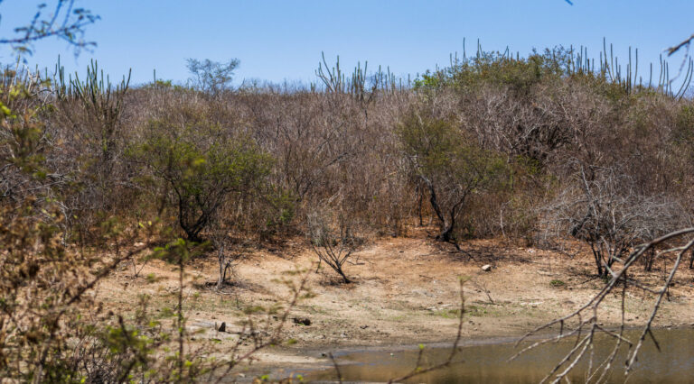 Semac divulga situação da seca em Sergipe durante o mês de dezembro do ano passado
