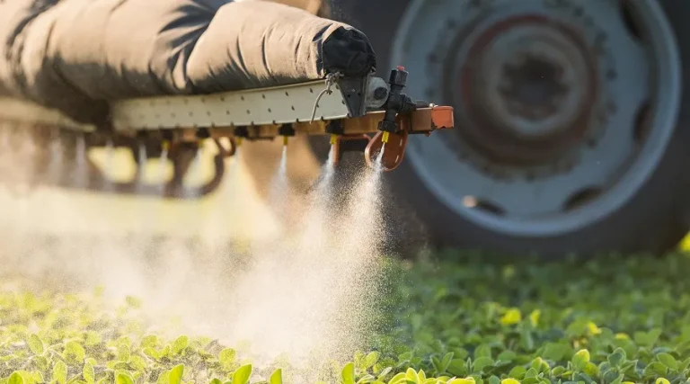 Brasil lidera ranking mundial na utilização de agrotóxicos; veja como se prevenir, higienizando os alimentos