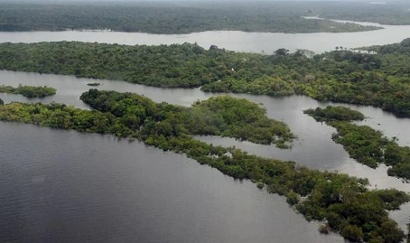 Amazônia pode entrar em colapso irreversível em 2050, diz estudo