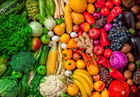 Especialista compartilha dicas de alimentação e exercícios recuperar a forma física