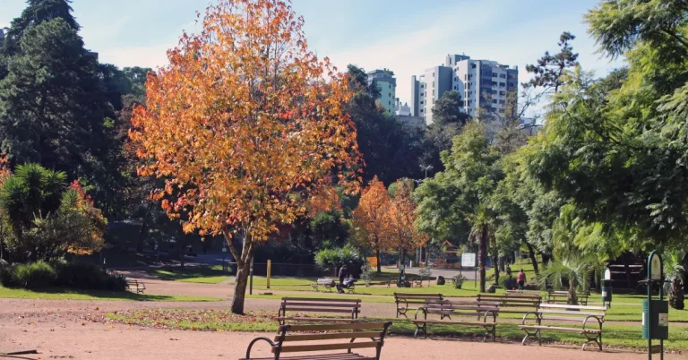Saiba mais sobre o equinócio, que dá início ao outono nesta quarta-feira (20)