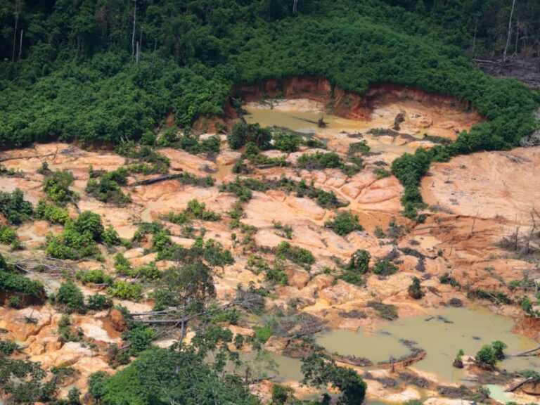 Amazônia: em 2023, garimpo ilegal devastou área equivalente a quatro campos de futebol por dia
