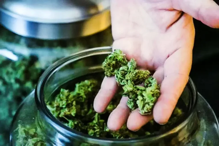 Após pedido de vista de Dias Toffoli, STF suspende julgamento sobre descriminalização da maconha para consumo