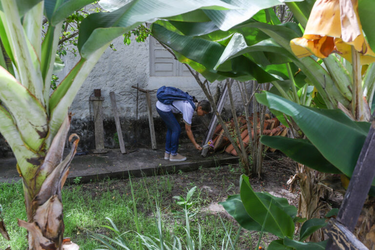 Ações individuais podem ser adotadas para o combate ao Aedes aegypti