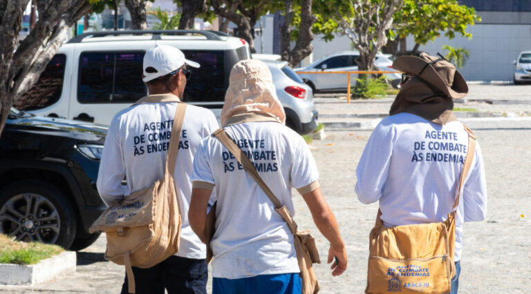 Aumenta número de municípios com alto risco de infestação do Aedes aegypti