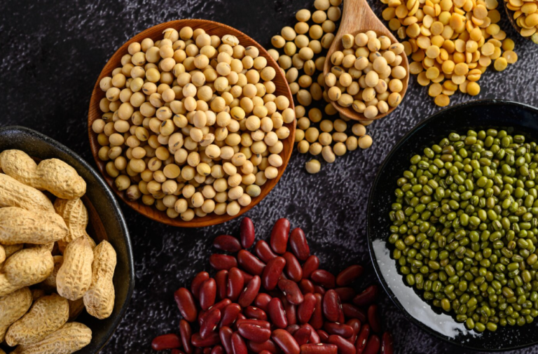 Entenda o que são pulses, que unem nutrição, segurança alimentar e sustentabilidade