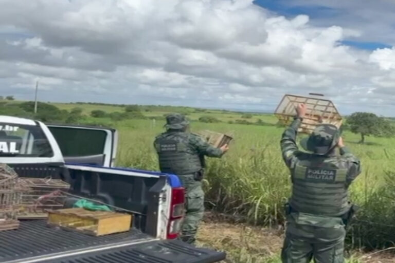 Polícia Ambiental reforça fiscalização contra cativeiros irregulares de animais silvestres em Sergipe