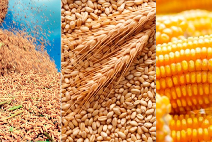 Mudanças climáticas podem impactar produção global de alimentos