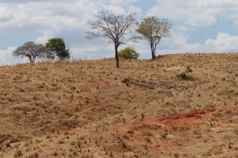 Estados vão contar com apoio financeiro da Sudene no enfrentamento à desertificação