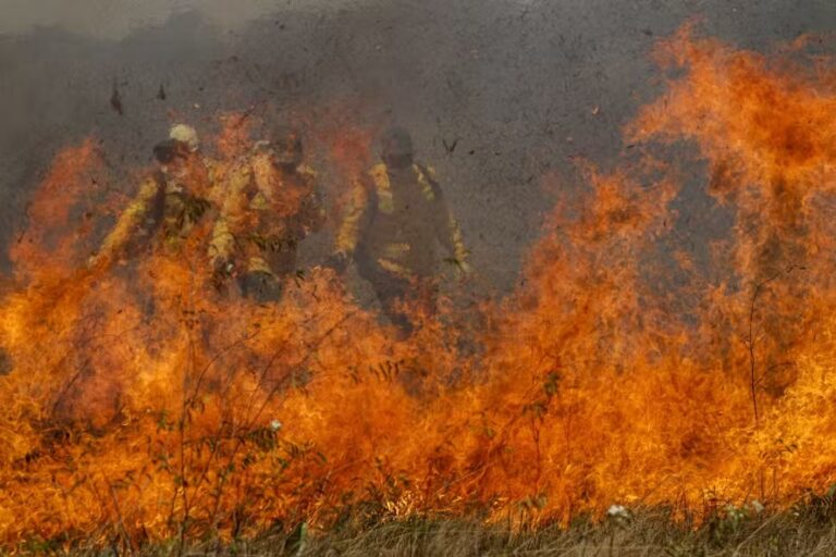 ‘Os incêndios são todos por ação humana’, afirma cientista da Embrapa-Pantanal