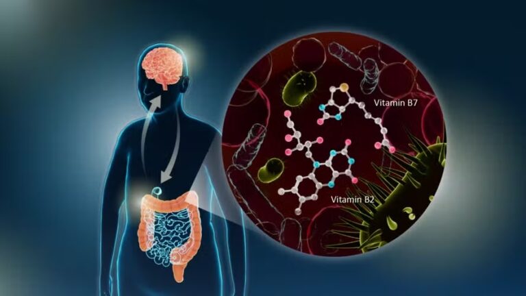 Parkinson: cientistas japoneses descobrem ligação da doença com bactérias do intestino