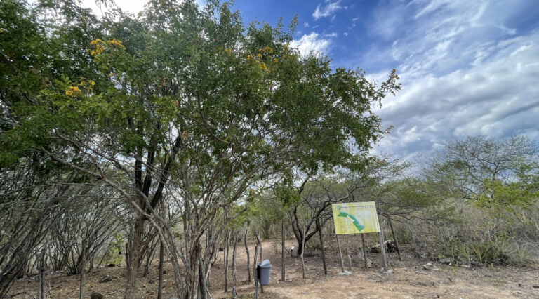 Análise da Secretaria de Estado do Meio Ambiente indica ausência de seca, no mês de maio, em Sergipe