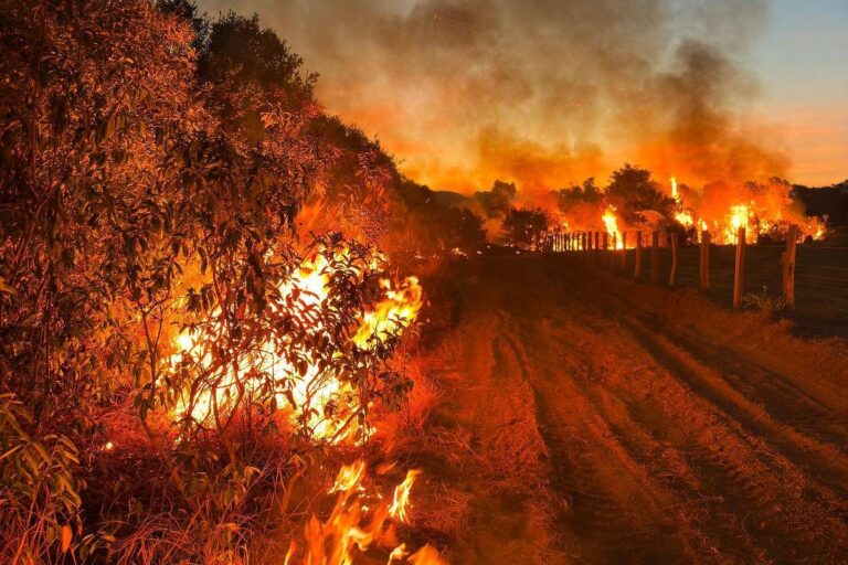 Pantanal supera em um único dia o total de queimadas de julho de 2023