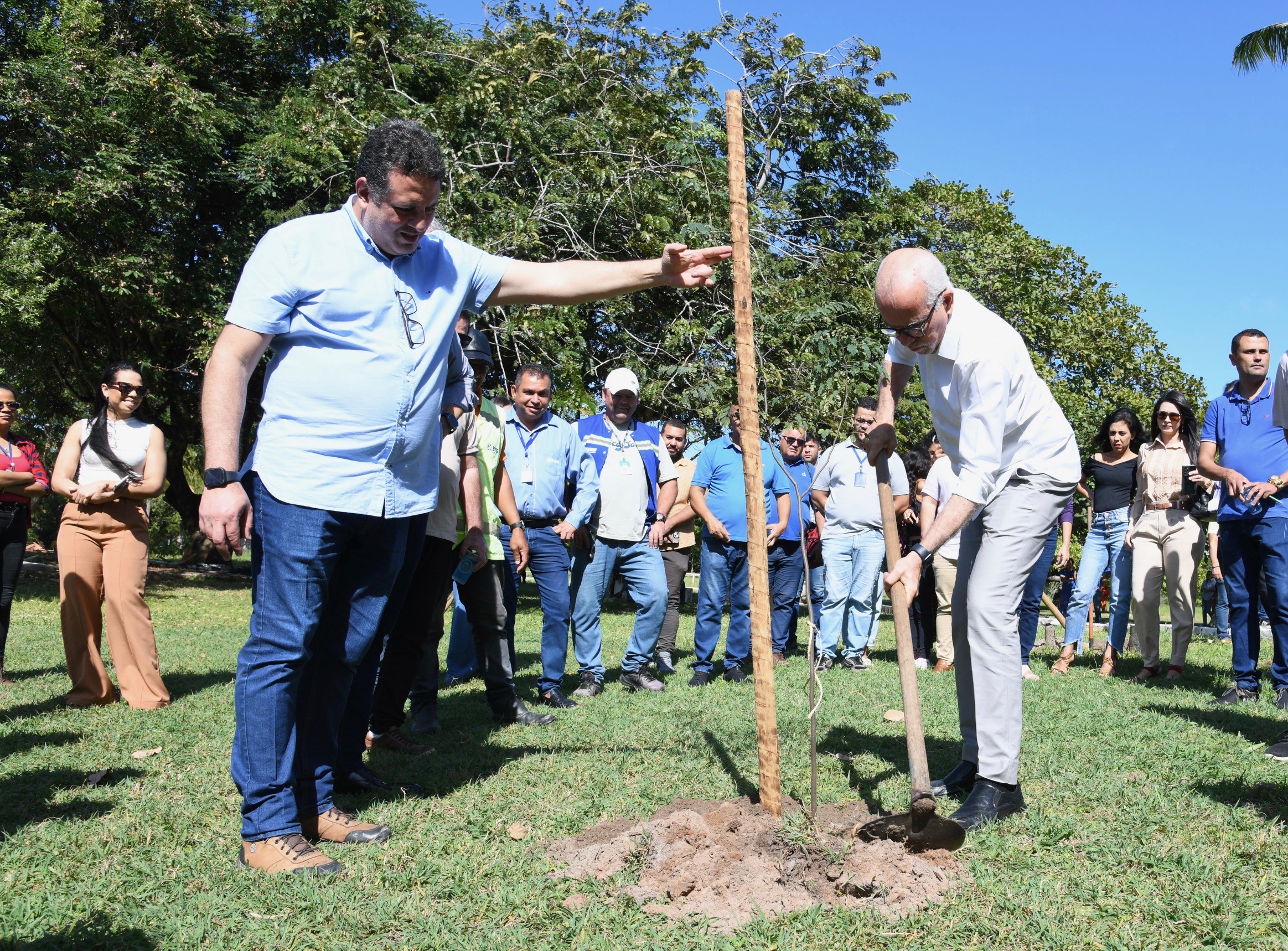 Prefeitura de Aracaju anuncia plantio de mais de 2 mil árvores no Parque da Sementeira