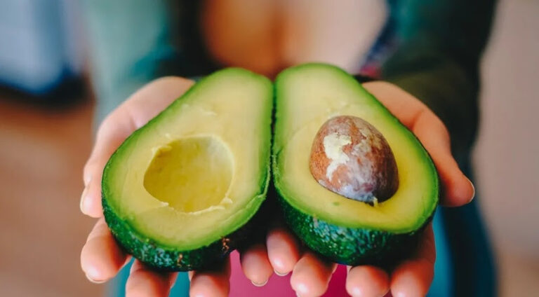 Abacate é poder: fruta versátil que nutre, protege e surpreende