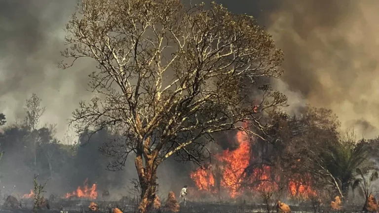 MP passa a permitir aviões estrangeiros em combate a incêndios no país