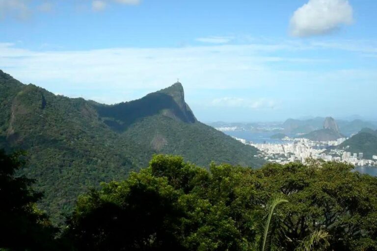 Menos de 7% das áreas urbanas do Brasil são cobertas por vegetação