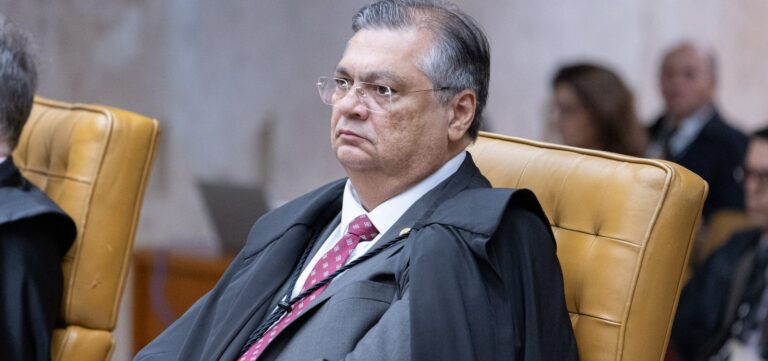 Dino fixa prazo para que governo federal atue contra incêndios no Pantanal e na Amazônia