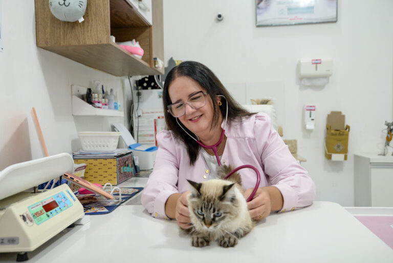 Dia Internacional do Gato: felinos lideram crescimento de animais de estimação no Brasil