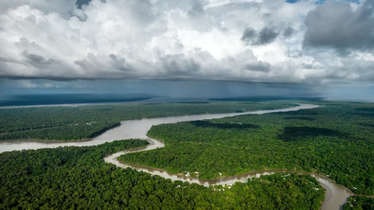 Áreas sob alertas de desmatamento na Amazônia recuam 45,7% em um ano
