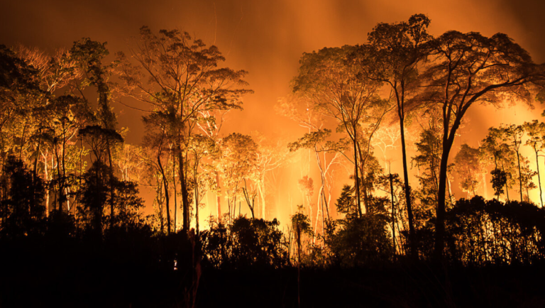 Amazônia registra 2,5 milhões de hectares queimados em agosto; parlamentares criticam governo Lula por recorde em queimadas