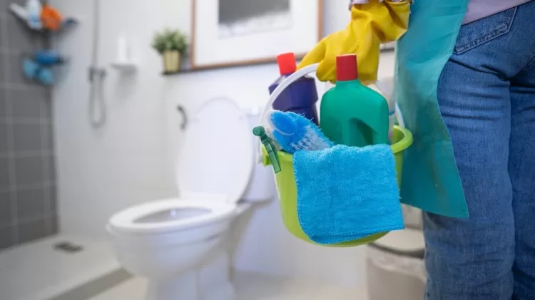 Moscas de banheiro: por que elas aparecem e como eliminar