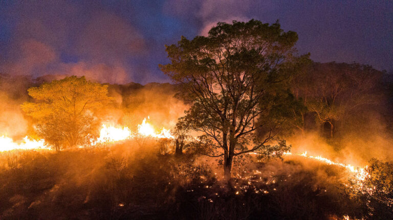 Alerta: fumaça de queimadas alcança cidades de dez estados brasileiros