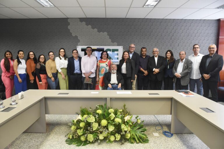 Reunião no TCE discute ações em prol do Compromisso Nacional Criança Alfabetizada