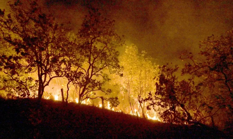 Brasil já registrou mais de 154 mil focos de calor neste ano, revela Inpe