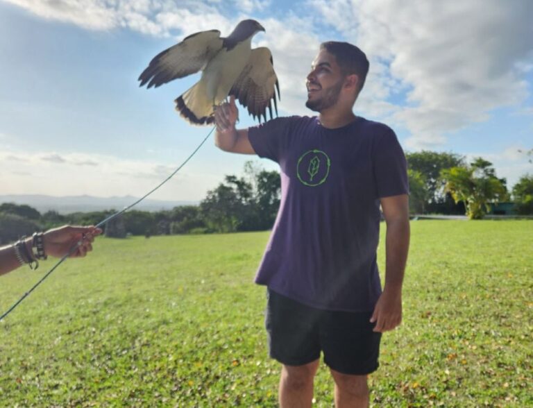 Parque dos Falcões: reduto de preservação de aves de rapina no agreste sergipano