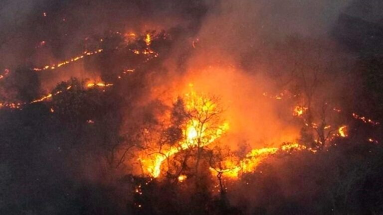 Brasil concentra mais de 70% dos incêndios na América do Sul
