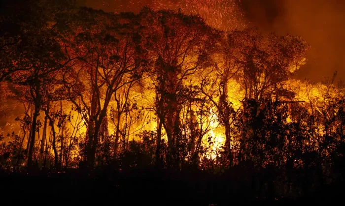 Incêndios florestais batem recorde de emissões de carbono no continente americano