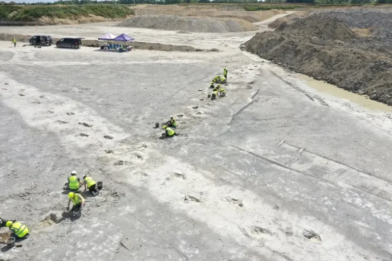 Trabalhadores encontram registro de dinossauros gigantes na Inglaterra